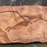 Réplique réaliste de fossile de dinosaure, squelette de pterosaure simulé, sur mesure