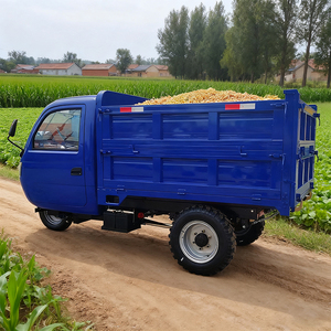 Tricycles de haute qualité pour les travaux agricoles, les chantiers de construction, les usines, tricycles multi-usages, véhicules agricoles chinois bon marché, tricycles agricoles - Product Image 4