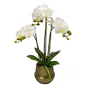 Hoa Vàng Nồi Tùy Chỉnh Nhân Tạo Phalaenopsis Phong Lan Trong Chậu Phong Lan Bất Động Cảm Ứng Dendrobium Phong Lan Trang Trí Hoa - Product Image 2