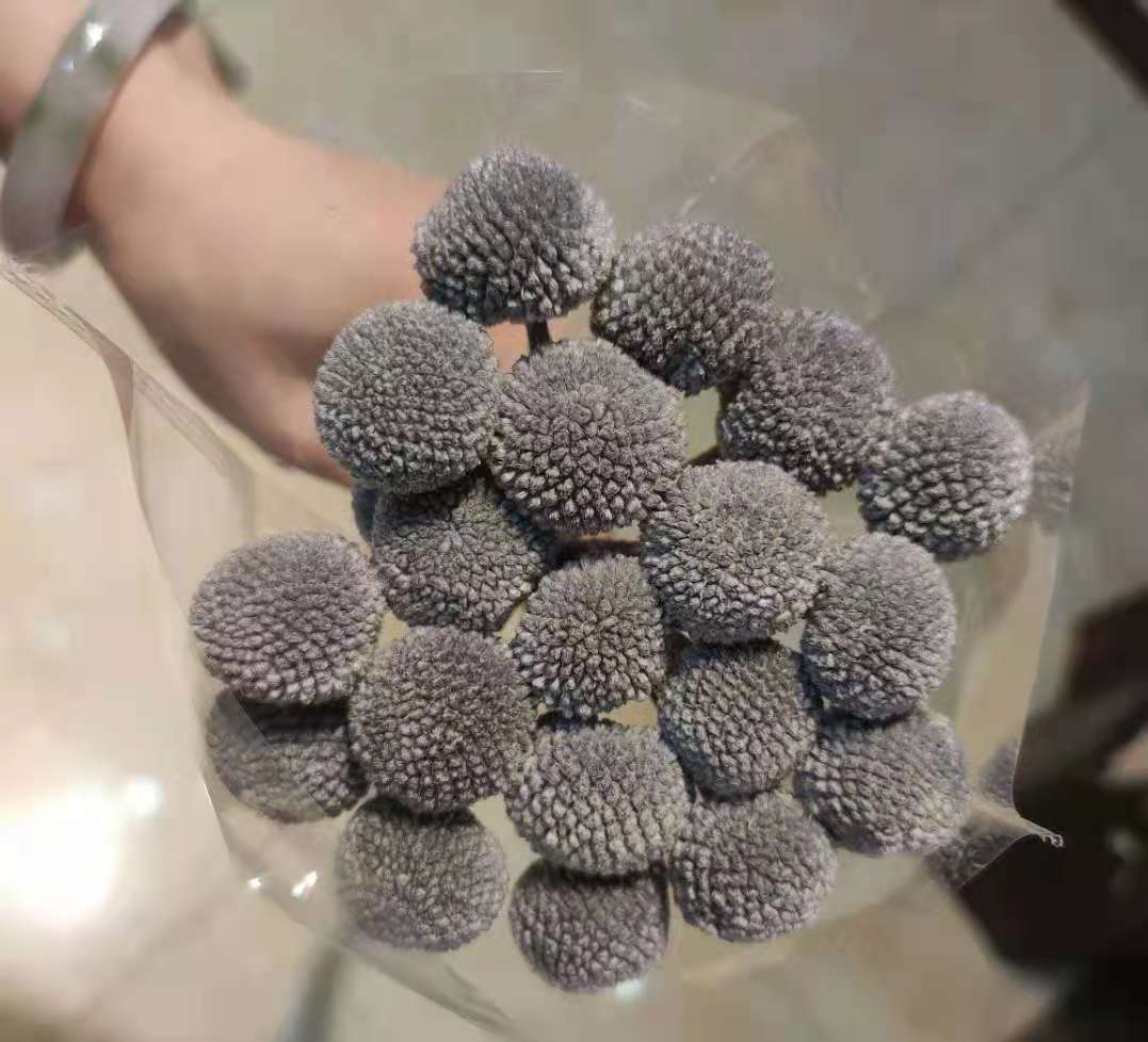 Grigio scuro