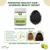 Complément alimentaire à base d'Amla, complément naturel de vitamine C, extrait d'Amalaki, éclat de la peau et croissance des cheveux, capsules d'Amla