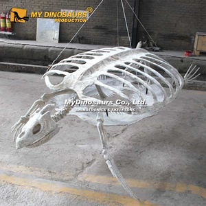 Khủng long của Tôi Như 191 nhân tạo mô phỏng cao <span class=keywords><strong>3D</strong></span> Bộ Xương rùa động vật - Product Image 4