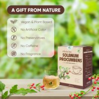 Sélection de Boissons aux Herbes OEM ODM Thé de Solanum Procumbens Boisson Saine Séchée 40 Sachets de Thé Premium 2g
