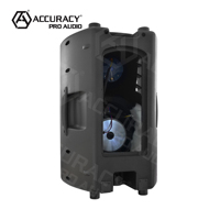 Précision Pro Audio CSZ15 15 pouces haute qualité extérieur passif alimenté Portable haut-parleur fête dj karaoké système de son