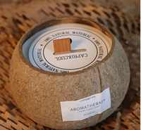 Bougie d'aromathérapie en coquille de noix de coco avec logo personnalisé, faible MOQ (100 pièces), coffret cadeau, parfum d'ambiance premium et créatif pour chambre à coucher, pour anniversaire
