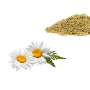 Top Quality Chamomile Flower Extract 0.8% 1 20% Dry Chamomile Lowest Price And Fast Shipping