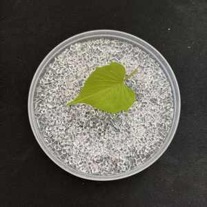 Granulés de résine d'ingénierie PMMA transparente de qualité alimentaire LG IF850 pour moulage, matières premières plastiques PMMA - Product Image 2