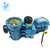 Water Crown Factory Supply Petit filtre de piscine HQS Pompe à eau Produit Chlorinateur