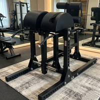 Chaise romaine professionnelle réglable multifonctionnelle pour exercices de fessiers et ischio-jambiers, robuste, en acier inoxydable, pour salle de sport