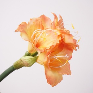 Ampoules d'<span class=keywords><strong>amaryllis</strong></span> artificielles au toucher réel de haute qualité en plastique souple 58cm fleur artificielle orange <span class=keywords><strong>rouge</strong></span> pour la décoration de la maison - Product Image 4