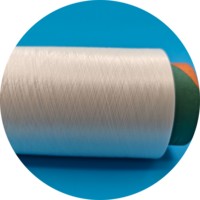FDY 150d Nim Nylon DTY Creux Nylon Pa 6 Filament Fil