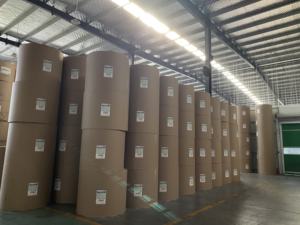 Rollos de Papel Recubierto de PE Personalizados para Vasos Desechables, Material en Bruto, 800 mm de Ancho - Product Image 6