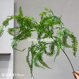 ใบเฟิร์นประดิษฐ์ Secret Garden ขนาด 110 ซม. ต้นไม้แขวนสีเขียวสำหรับตกแต่งภายใน - Product Image 1