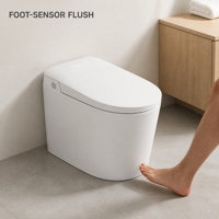 Accessoires de toilettes intelligentes : Kit de buse de bidet électrique avec pièces de siège de toilette et composants de remplacement pour toilettes intelligentes
