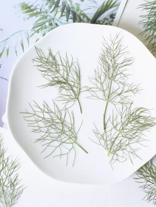 Tallo y hoja <span class=keywords><strong>de</strong></span> hinojo con ramas, manualidades <span class=keywords><strong>de</strong></span> bricolaje, fabricación <span class=keywords><strong>de</strong></span> plantas naturales, flor prensada real para Resina - Product Image 2