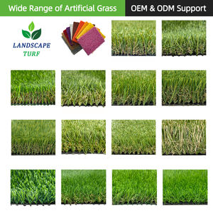 Gazon <span class=keywords><strong>synthétique</strong></span> haute densité en rouleau, Dtex 11500, forme en C, <span class=keywords><strong>tapis</strong></span> d'herbe artificielle <span class=keywords><strong>pour</strong></span> <span class=keywords><strong>terrasse</strong></span> et jardin - Product Image 6