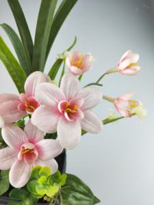 Arrangement d'herbe en plastique de fleur décorative d'art de prix compétitif d'usine chinoise dans un pot d'argile noire pour la décoration intérieure - Product Image 4