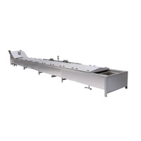 Industriële Voedselverwerkende Apparatuur/Fruit Blancheren Machine/Banaan Blancheren Machine