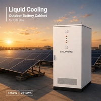 Armoire de batterie extérieure C&I 125 kW 261 kWh à refroidissement liquide LiFePO4 haute tension BESS compatible avec la plupart des onduleurs courants, indice de protection IP54