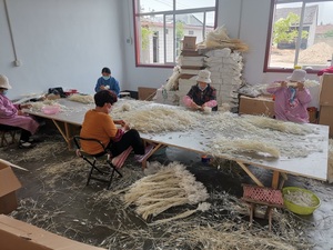 Meilleur vendeur B0142 décor de mariage Boho naturel Beige blanc grand duveteux herbe de pampa sèche conservée fleur séchée herbe de pampa - Product Image 6