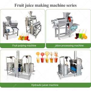 Máquina para hacer pulpa de frutas (frambuesa, guayaba, uva, guanábana, mango) y deshuesadora, pulpeadora y procesadora de pulpa para mermelada y puré de manzana - Product Image 5