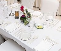 Biodegradable Sugarcane Tableware Party Supplies Cornstarch Dinnerware Set Disposable Plate Bowl Cornstarch Cutlery Set