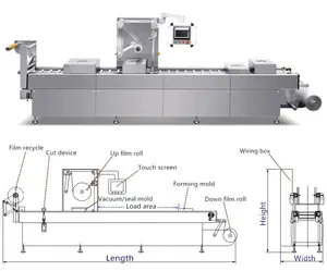 Máquina de embalagem de filme extensível para termoformagem de plástico a vácuo de peixes e frutos do mar contínuos