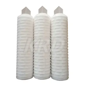 Cartouche filtrante à membrane plissée en PTFE hydrophile AB1FT3EHF 10 pouces 0.2 microns pour filtre chimique