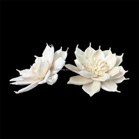 Diffuseur de parfum en fleurs de bois de Sola N-0216 en vrac pour la décoration intérieure