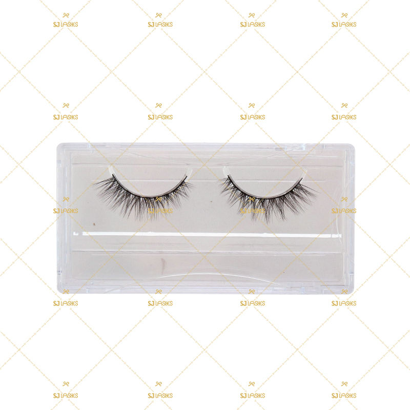 Plateau transparent et couvercle [NO BOX]