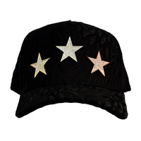 Gorra de Béisbol Personalizada Unisex con Visera Curva, 5 Paneles, Estructurada, Gorra Dandi, Gorras con Cristales, Gorras Thirty One, Gorra de Moda LA