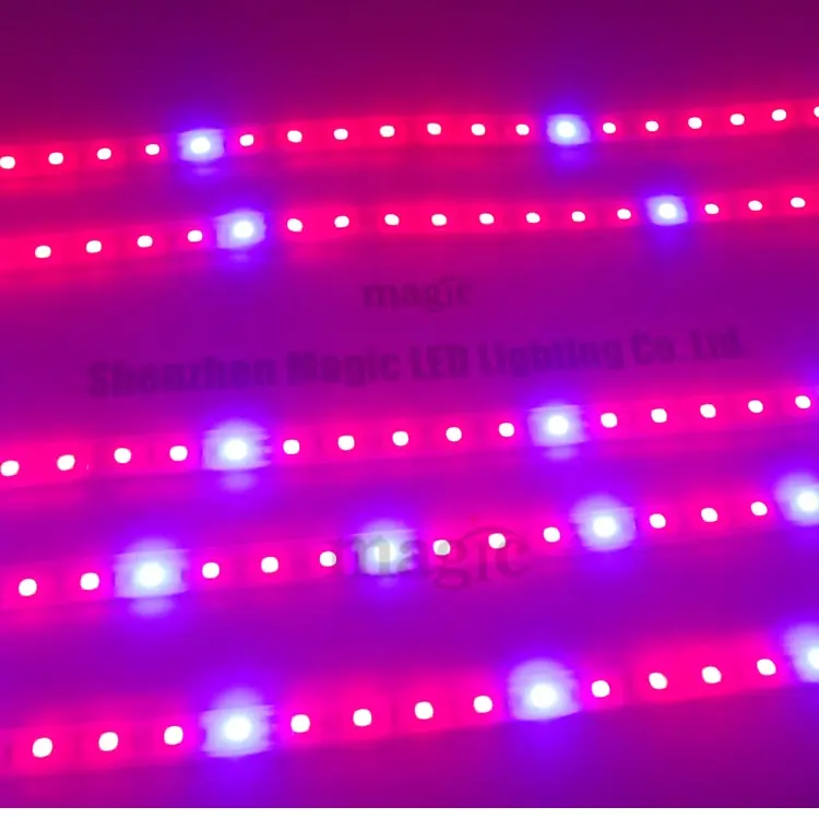 SMD 5050 luce Rossa 660nm blu 450nm Flessibile piante LED Crescere Striscia