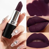 Rouge à lèvres cosmétique Vampire Halloween fini mat brillant - Finition mate, ne s'estompe pas facilement, disponible en gros
