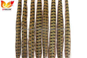 Fornitore Gold di ZPDECOR: <span class=keywords><strong>Piume</strong></span> di coda di fagiano anelloso naturali selezionate di alta qualità, 50-55 cm, disponibili all'ingrosso - Product Image 5