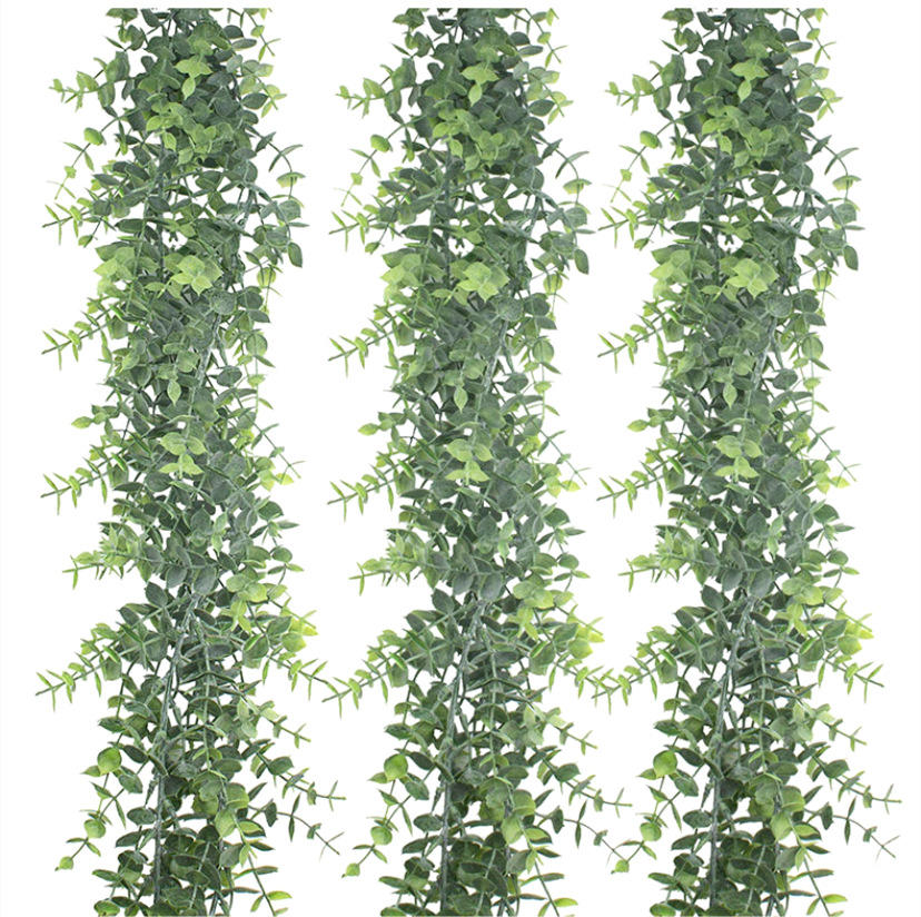 ตามที่แสดง