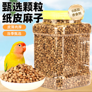 Nourriture pour perroquets en papier, granulés gros calibre, pour conures solaires et perruches, format économique, contenant en plastique durable - Product Image 5