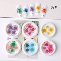 Mini fleurs séchées naturelles en plastique en gros pour nail art DIY