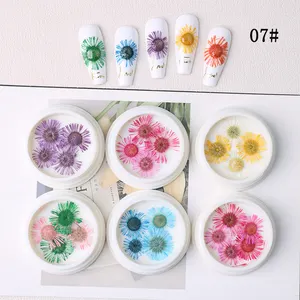 Wholesale Mini Dry Flower Nature Pressed Dried Flowers For Nail Art