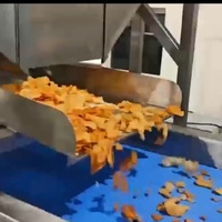 YZ Automatische productielijn voor aardappelchips en groente-/fruitchips met friteuse, capaciteit 100-200 kg/uur, snackmachine