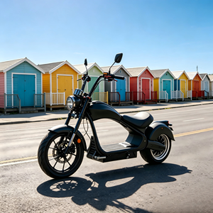 Vélo électrique Chopper <span class=keywords><strong>en</strong></span> stock dans l'entrepôt de Californie (<span class=keywords><strong>USA</strong></span>), homologué EEC COC, vitesse rapide, idéal pour la conduite sportive et les trajets urbains - Product Image 1