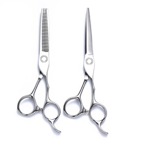 Hairdressing Scissors Set 6 Inch Stainless Steel Flat Shears Thinning Shears Professional Hair Styling Tools - Product Image 1