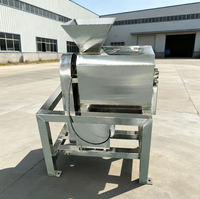 Sinaasappelsapmachine Fruitpulper Kleine Perzik Gember Extractie Extractor Passievruchtensapcentrifuge