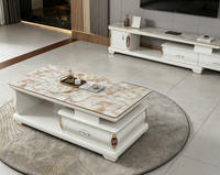 Meuble TV moderne pour salon, table basse, armoire de rangement au design confortable pour hôtel et villa