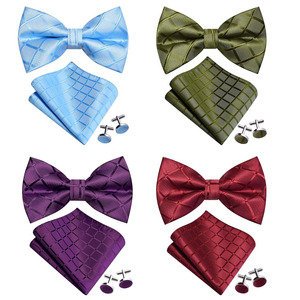 Ensemble nœud <span class=keywords><strong>papillon</strong></span>, pochette de costume et boutons de manchette pour homme, à carreaux écossais, jacquard tissé, réglable, pré-noué, sans boîte - Product Image 1