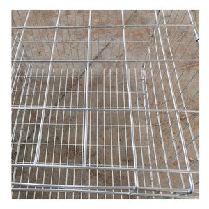 Gabbia per pollastre di pollo zincata tipo H gabbia per cova a batteria per pollastre di pollo per <span class=keywords><strong>pulcini</strong></span> di un giorno - Product Image 4