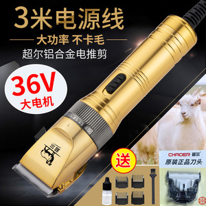 กรรไกรตัดขนสัตว์ไฟฟ้า Chaoer 36V อลูมิเนียมอัลลอยด์ สำหรับแกะ สุนัข แมว - Product Image 1