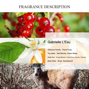 UNIQUE AROMA <span class=keywords><strong>Gabrielle</strong></span> L'Eau Parfum Huile Parfum en gros Avec Fleur Et Fruit Parfumé Huile de parfum en spray pour le corps longue durée - Product Image 2