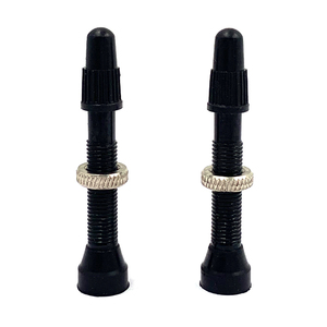 Accessoires pour pneus de vélo RVT46 <span class=keywords><strong>Schrader</strong></span> Valve tubeless pour vélo - Product Image 1