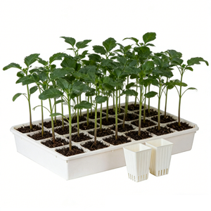Gobelets en plastique haute résistance pour semis, flexibles pour un retrait facile des racines et la transplantation - Product Image 1