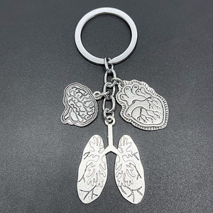 Llavero médico creativo de órgano humano personalidad divertida Corazón de Metal cerebro pulmón para enfermera Doctor llavero - Product Image 2
